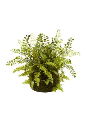Nearly Natural Assorted Fern with Twig and Moss Basket, Green