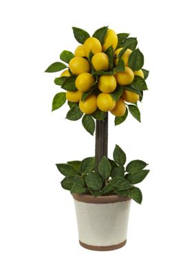 Lemon Ball Topiary Arrangement