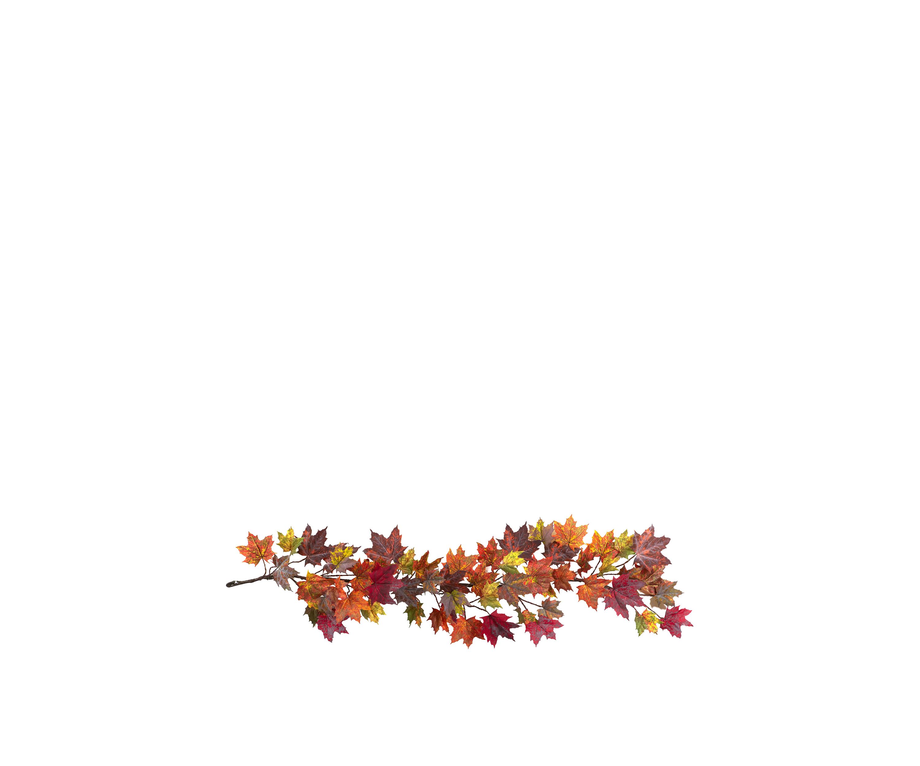 60 in Maple Leaf Garland