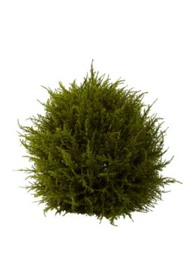 14-in. Cedar Sphere Topiary