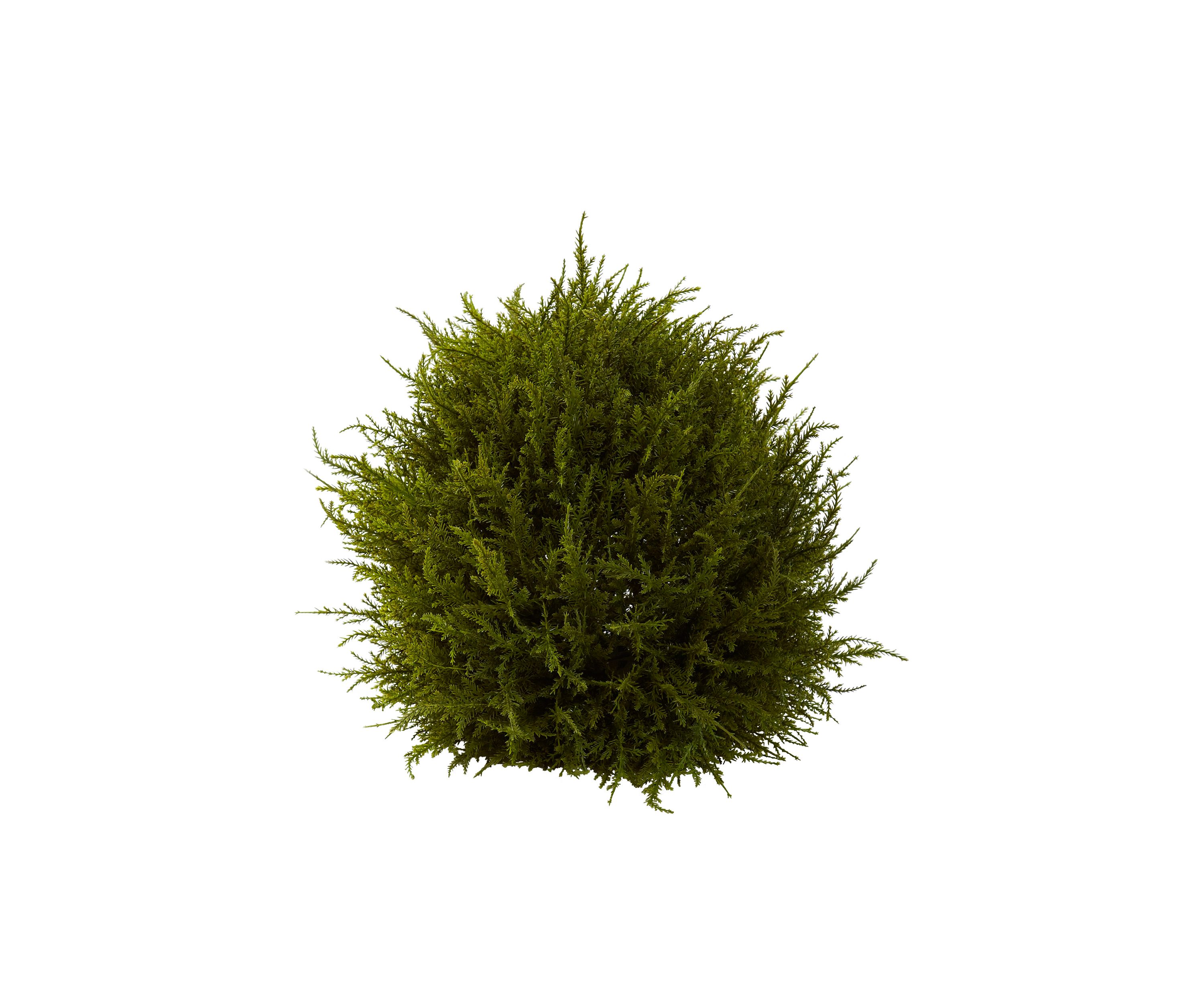 14-in. Cedar Sphere Topiary