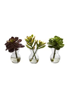 Nearly Natural Succulent Arrangements - Set of 3, Green