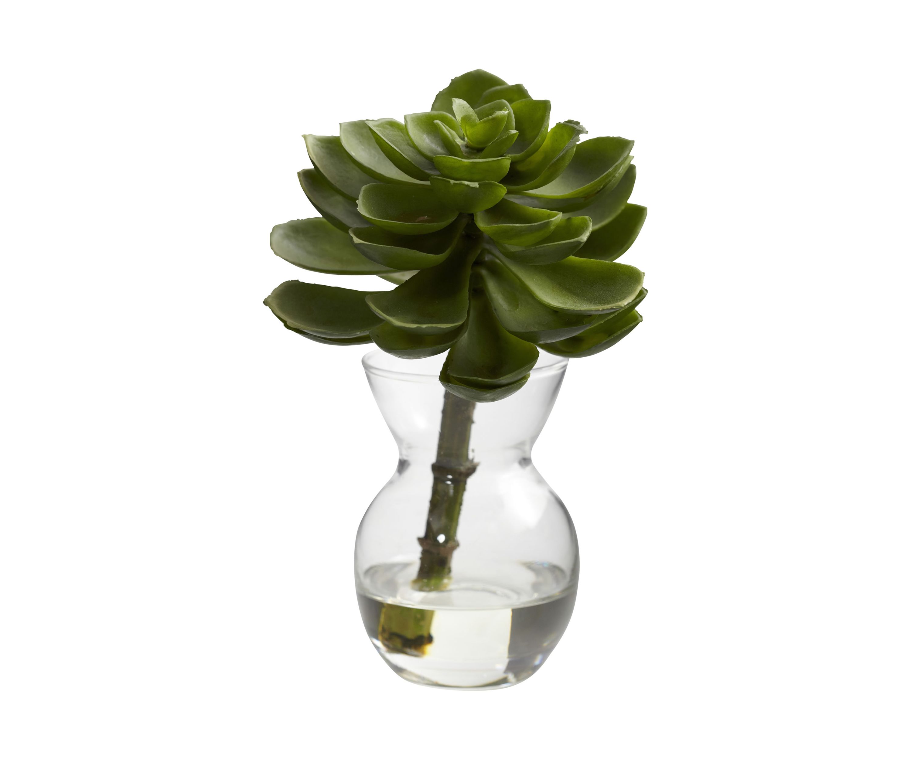 Succulent Arrangements - Set of 3