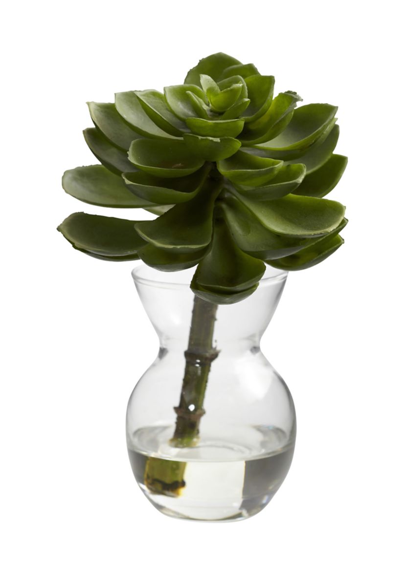 Succulent Arrangements - Set of 3