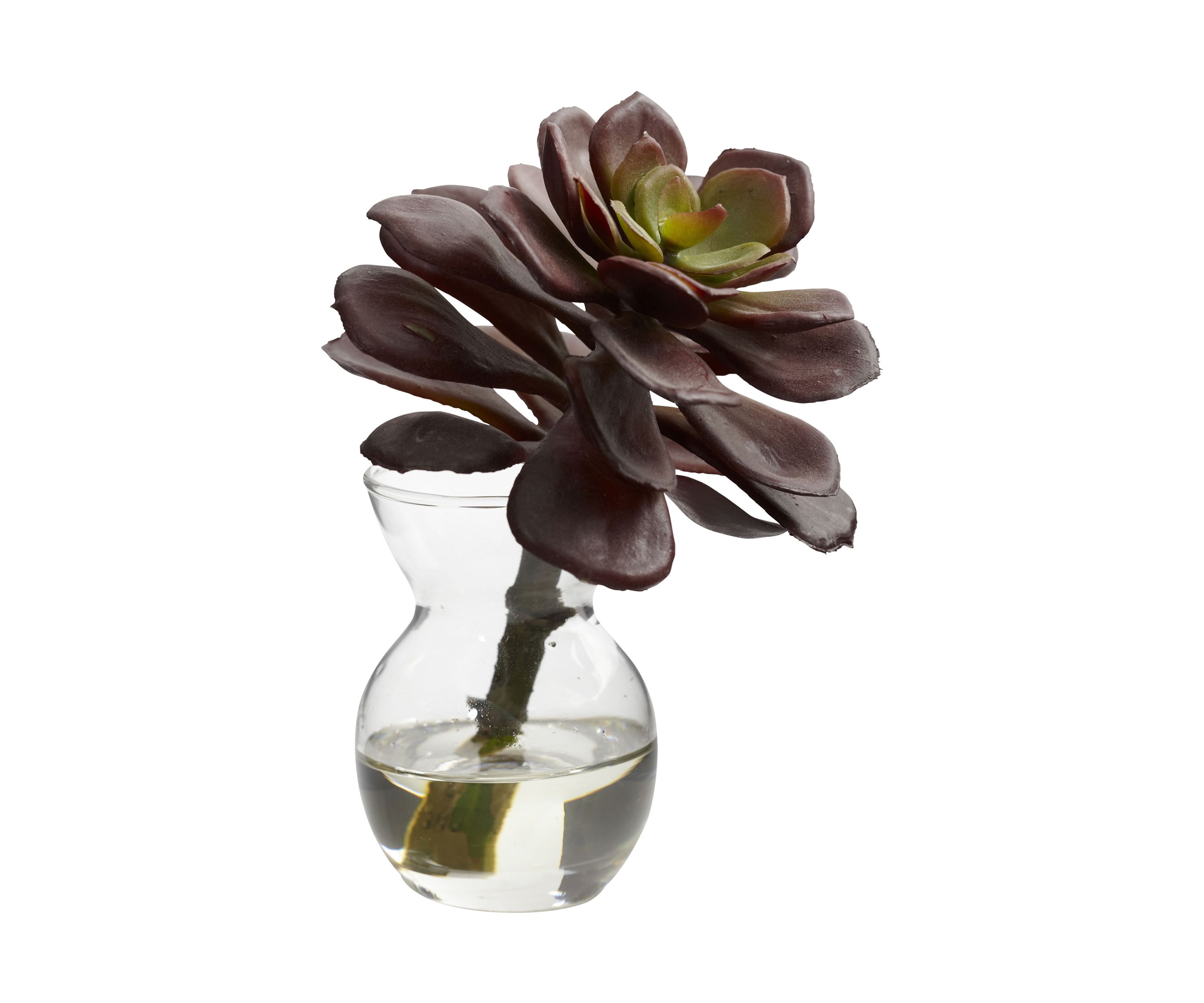 Succulent Arrangements - Set of 3