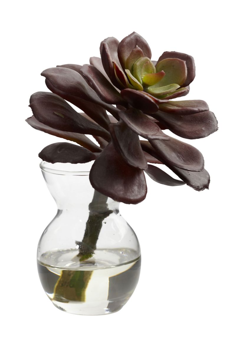 Succulent Arrangements - Set of 3