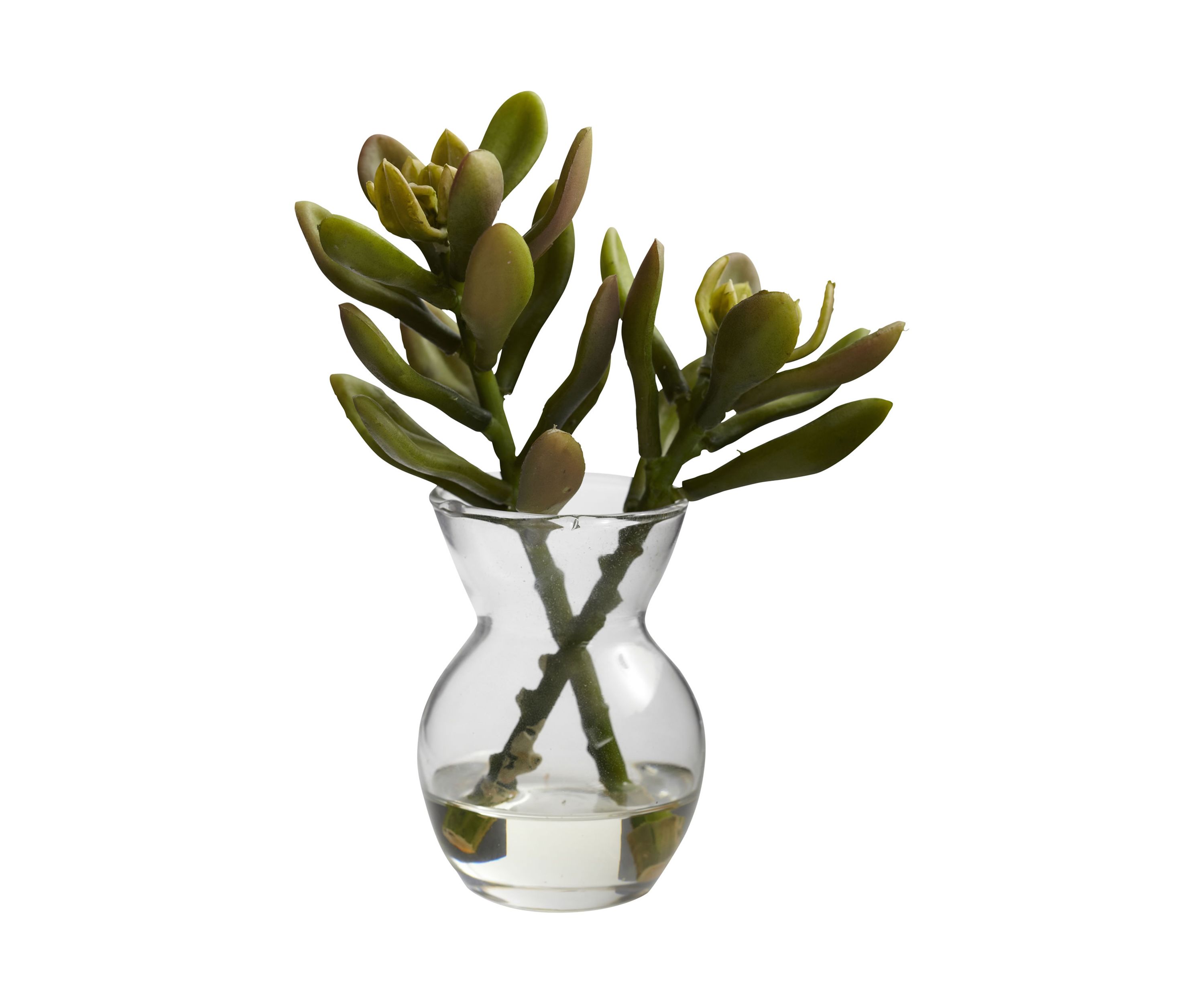 Succulent Arrangements - Set of 3