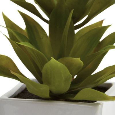 Double Mini Agave with Planter - Set of 2