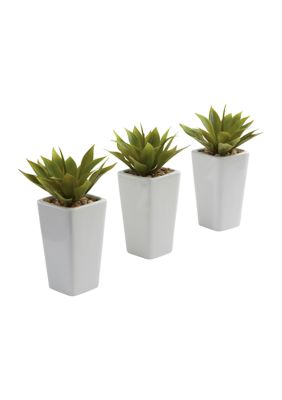 Nearly Natural Mini Agave with Planter - Set of 3, Green