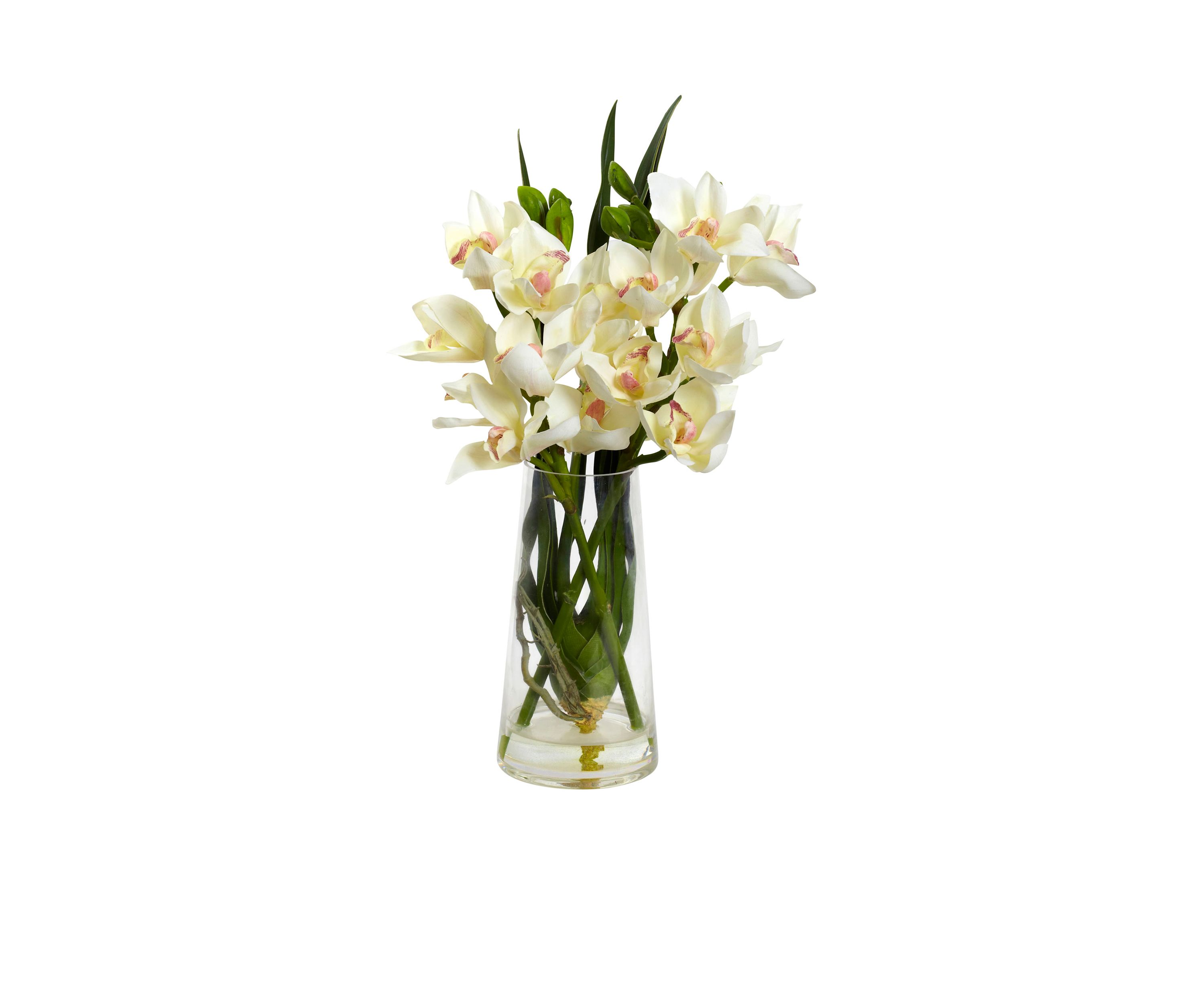 Cymbidium Orchid with Vase