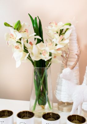 Cymbidium Orchid with Vase