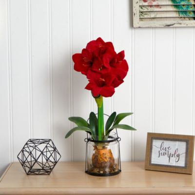 24-Inch Amaryllis with Vase