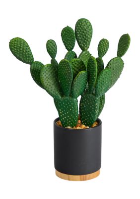 Nearly Natural 10-Inch Cactus Succulent Artificial Plant in Planter, Green