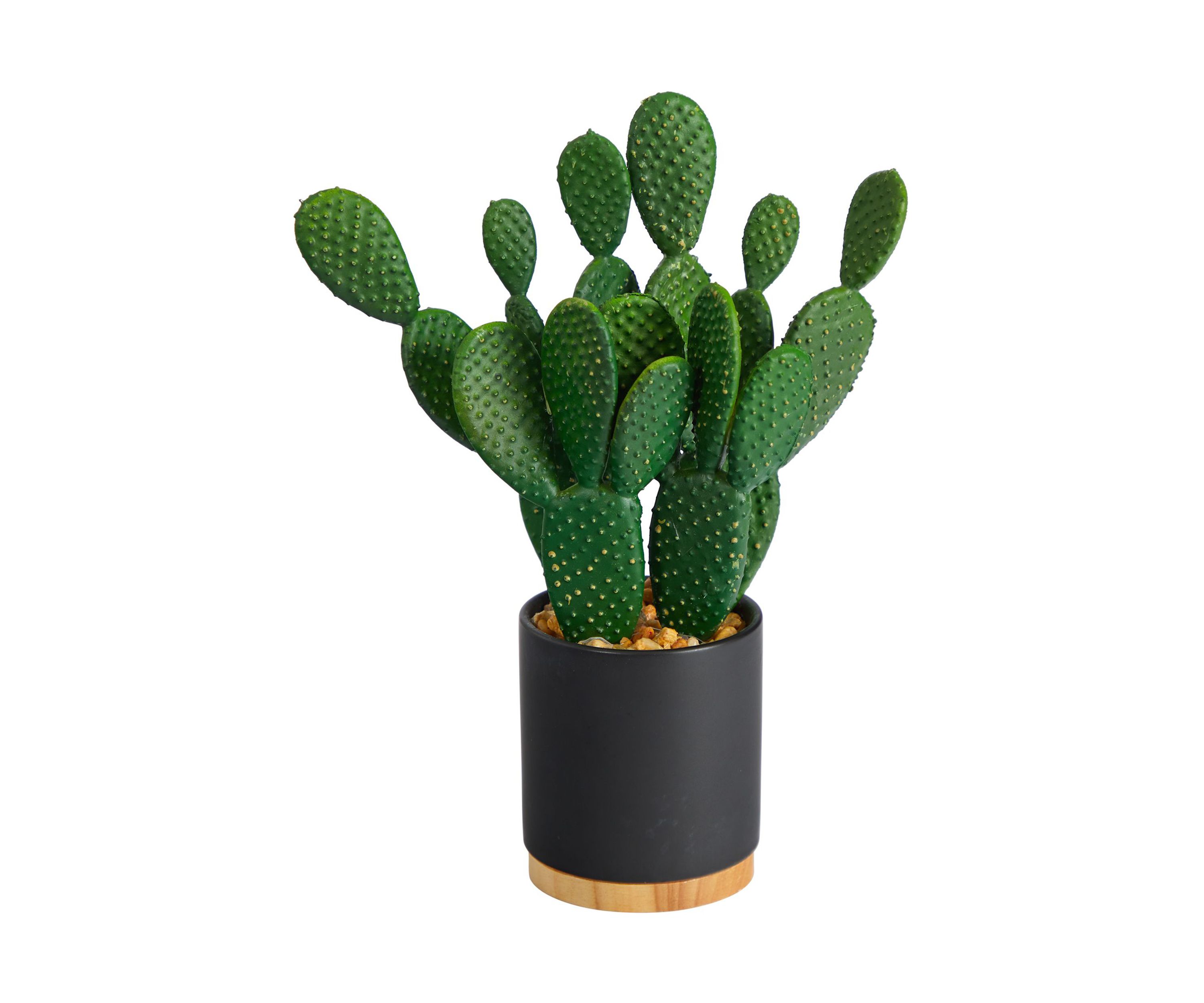 10-Inch Cactus Succulent Artificial Plant in Planter