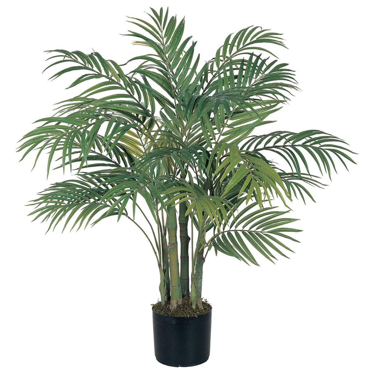 3-Foot Areca Silk Palm Tree