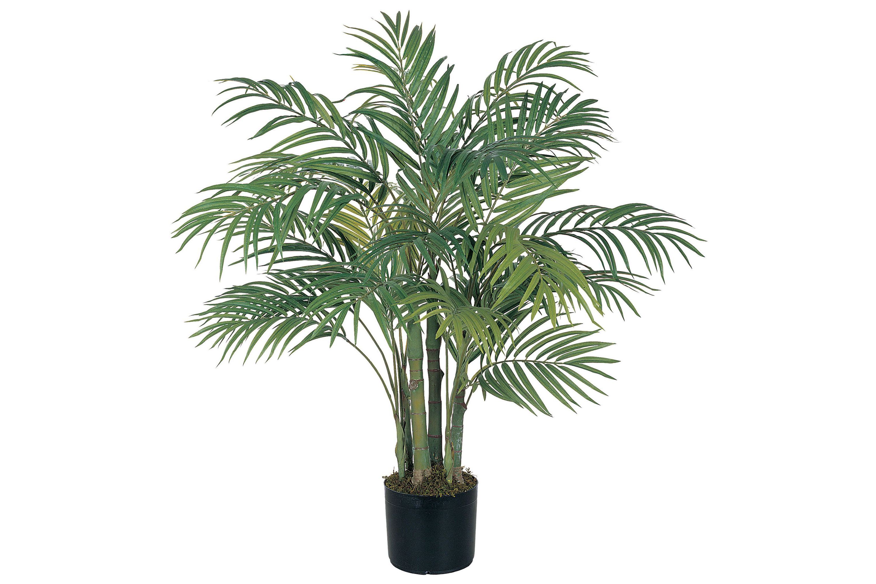 3-Foot Areca Silk Palm Tree