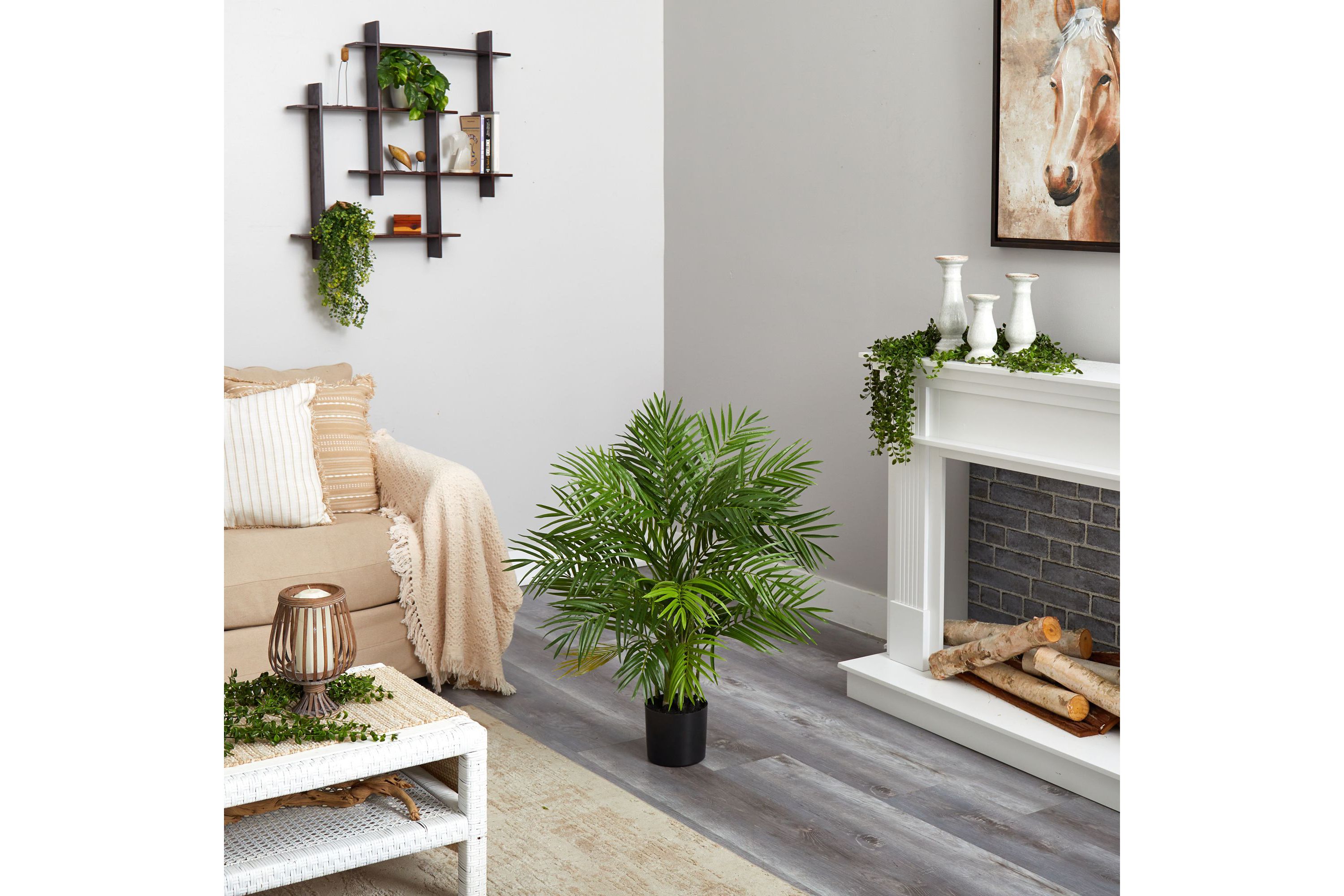 3-Foot Areca Silk Palm Tree