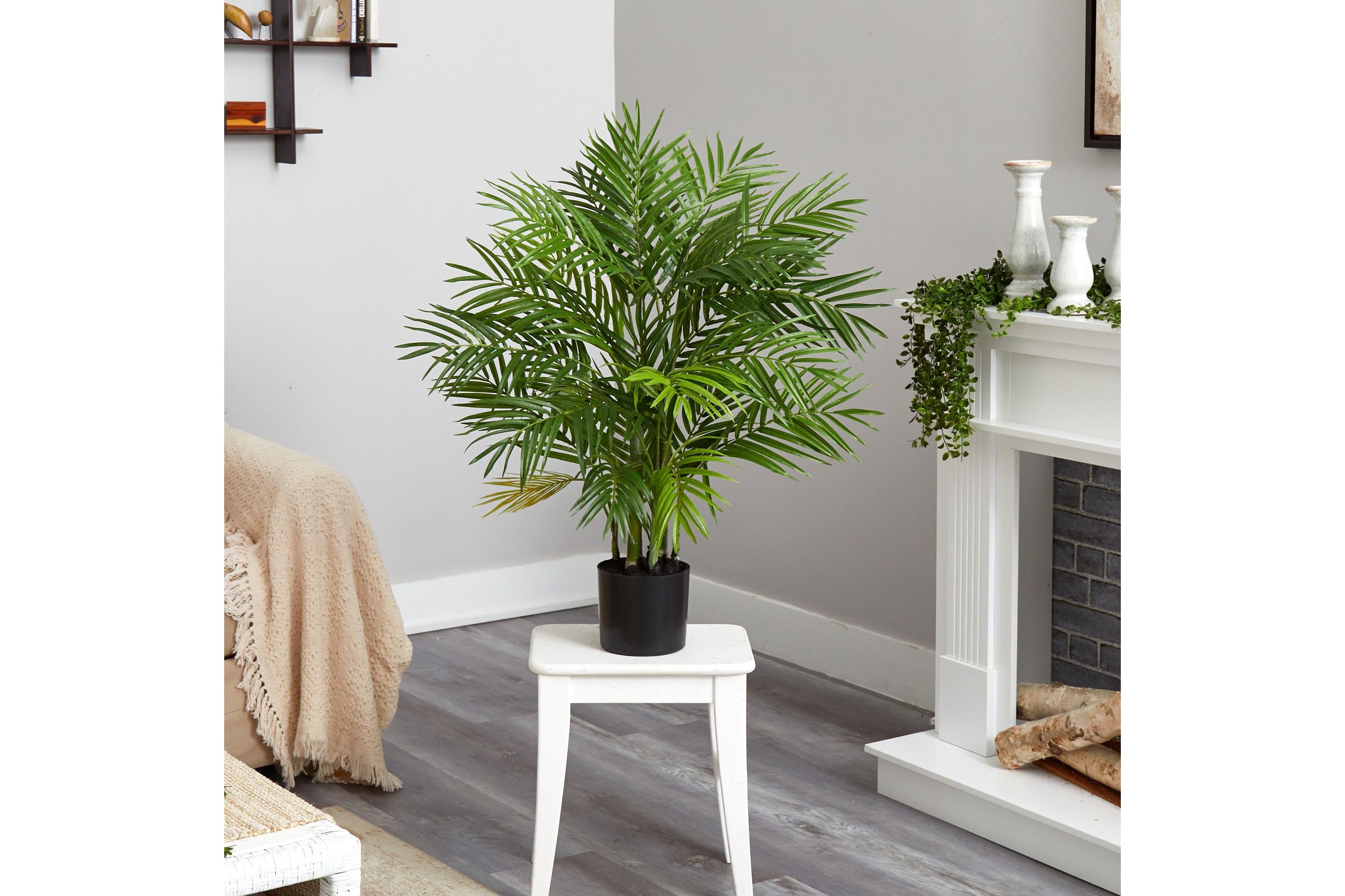 3-Foot Areca Silk Palm Tree