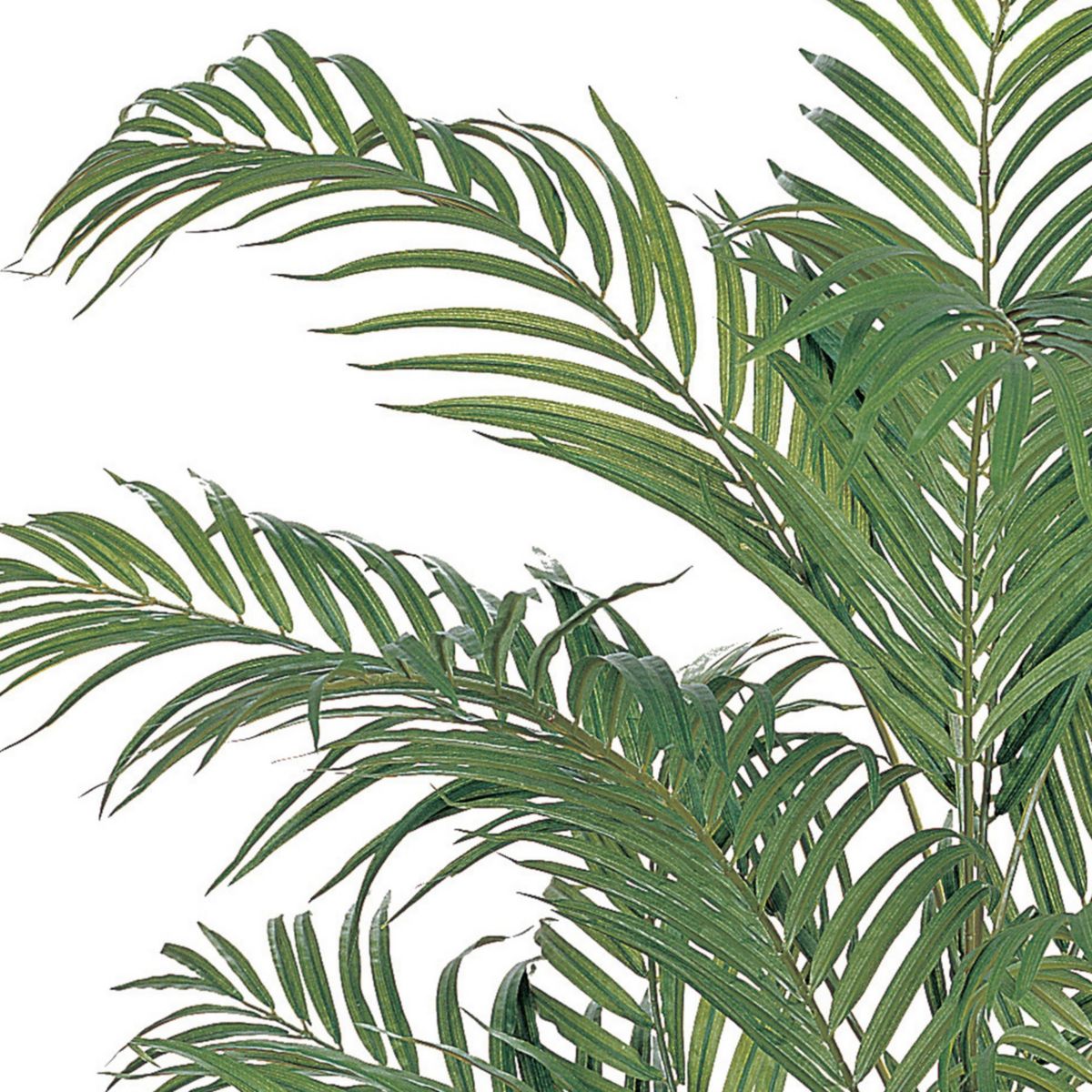 4-Foot Areca Silk Palm Tree