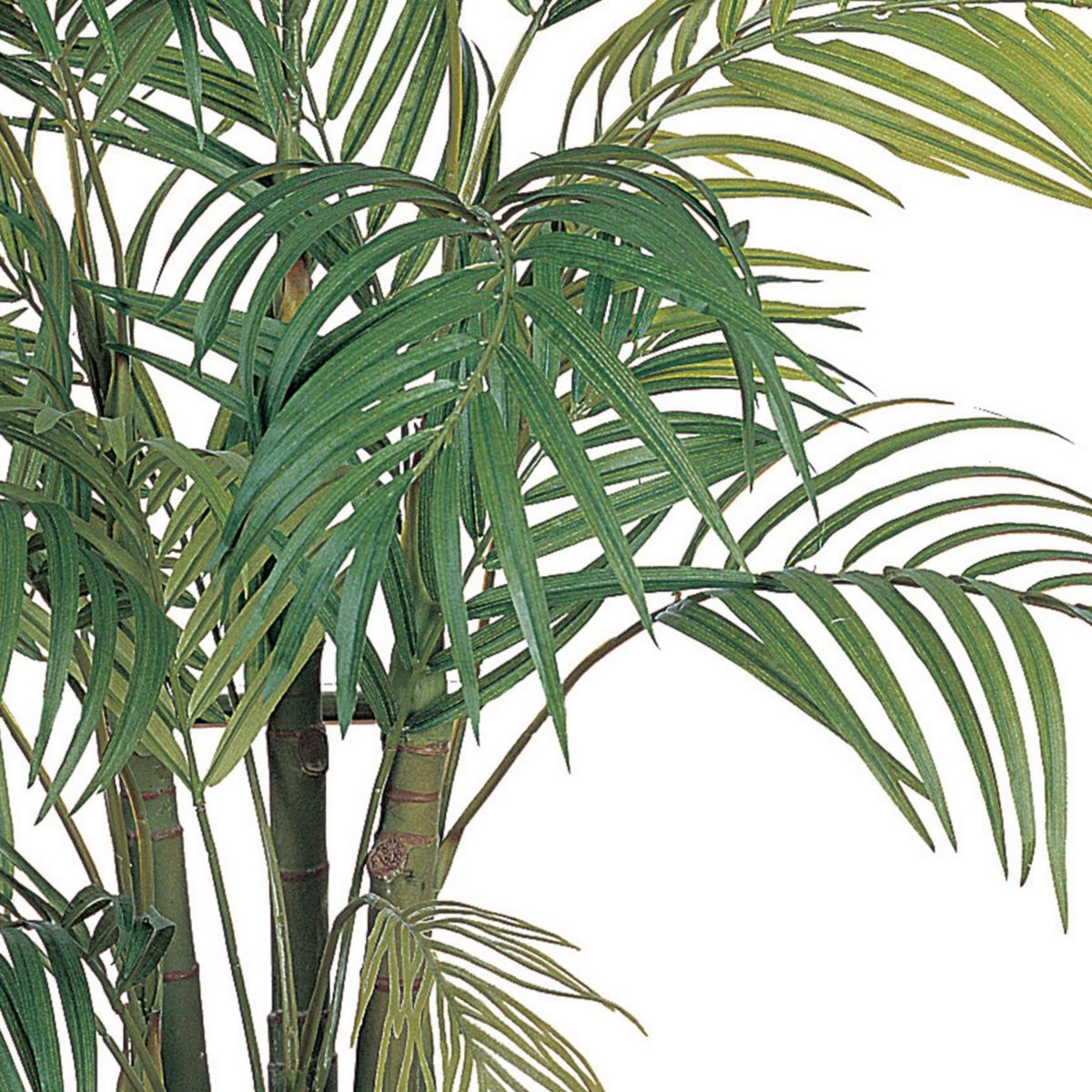 4-Foot Areca Silk Palm Tree