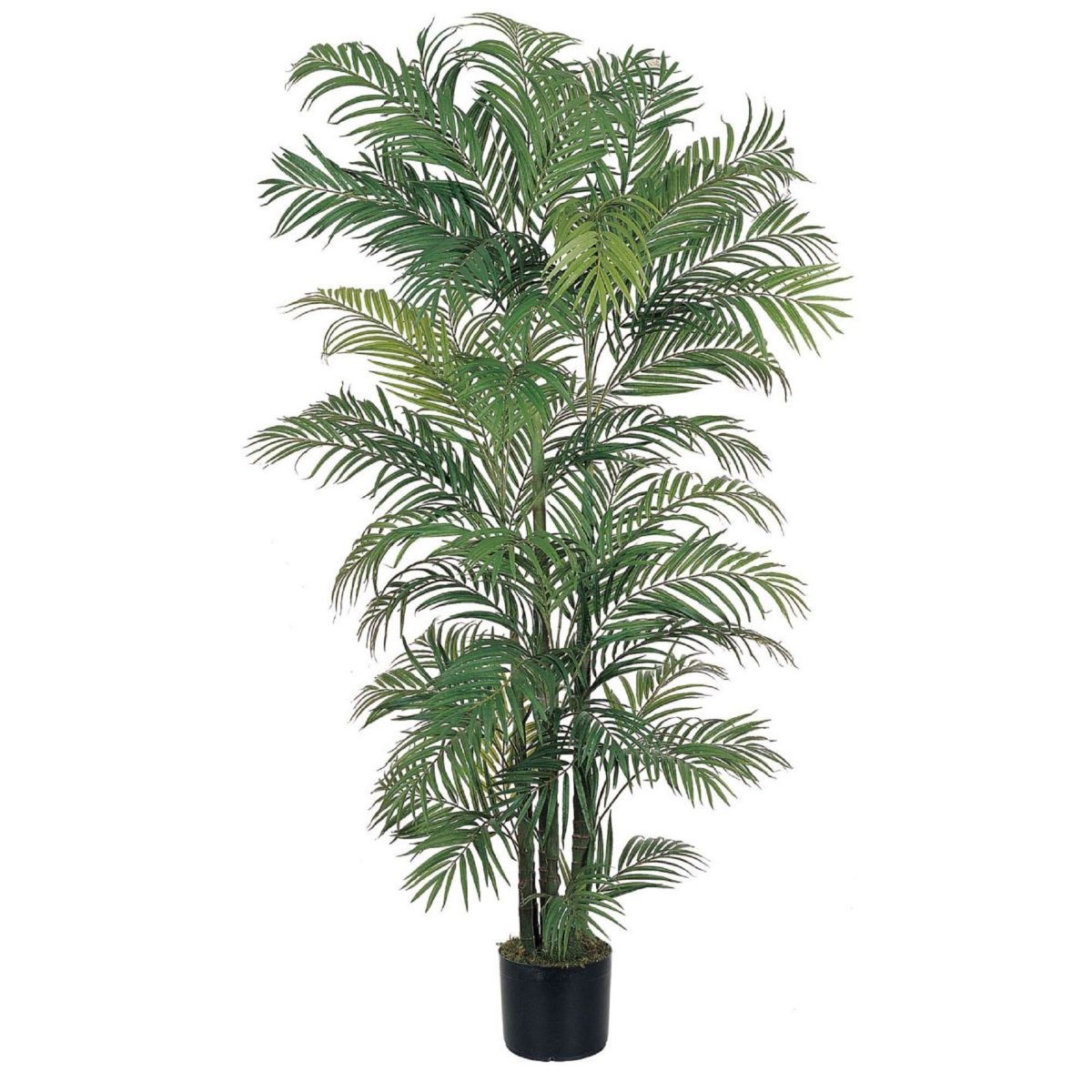 6-Foot Areca Silk Palm Tree