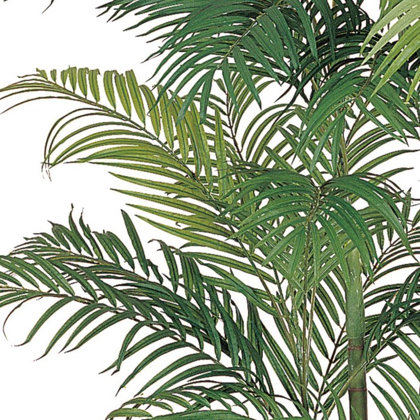 6-Foot Areca Silk Palm Tree