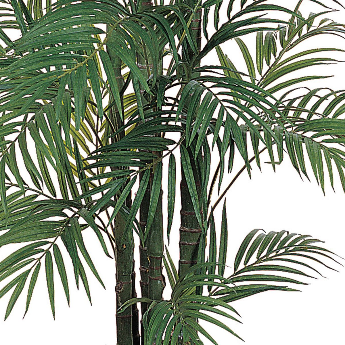 6-Foot Areca Silk Palm Tree