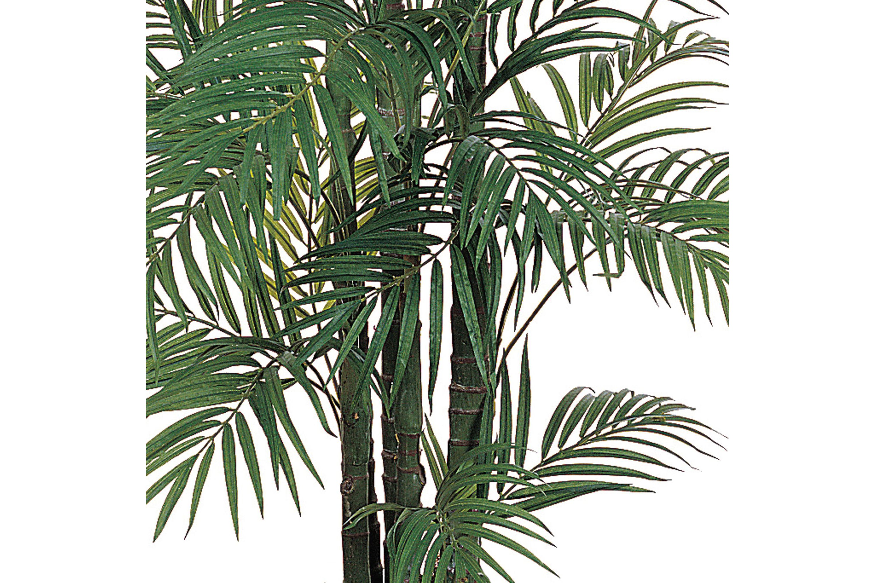 6-Foot Areca Silk Palm Tree
