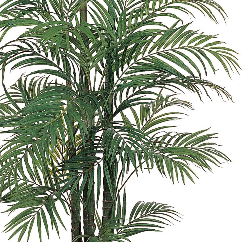 6-Foot Areca Silk Palm Tree