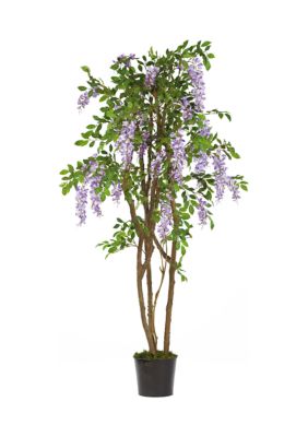 Wisteria Silk Tree