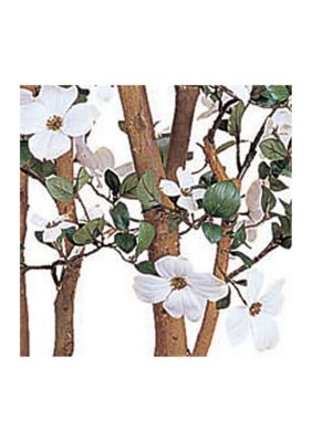 5-Foot Dogwood Silk Tree