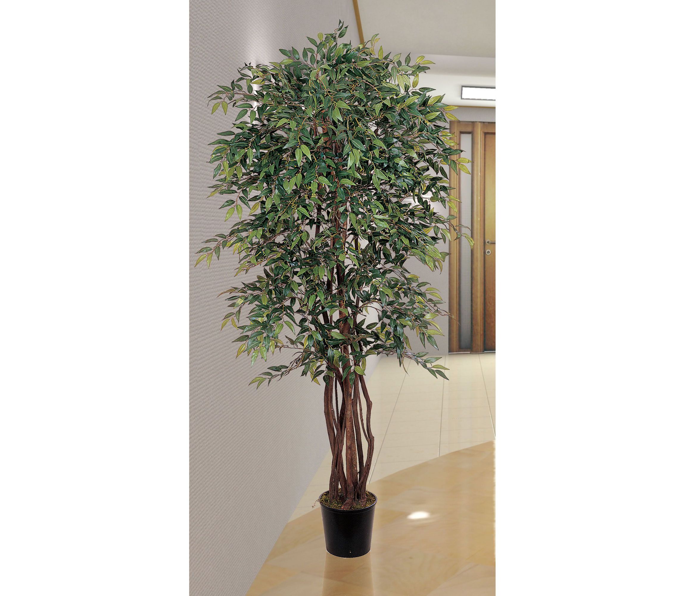 6 Smilax Silk Tree