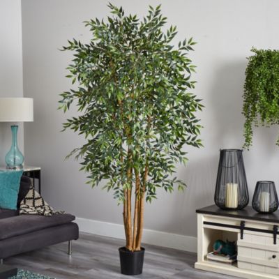 6' Smilax Silk Tree