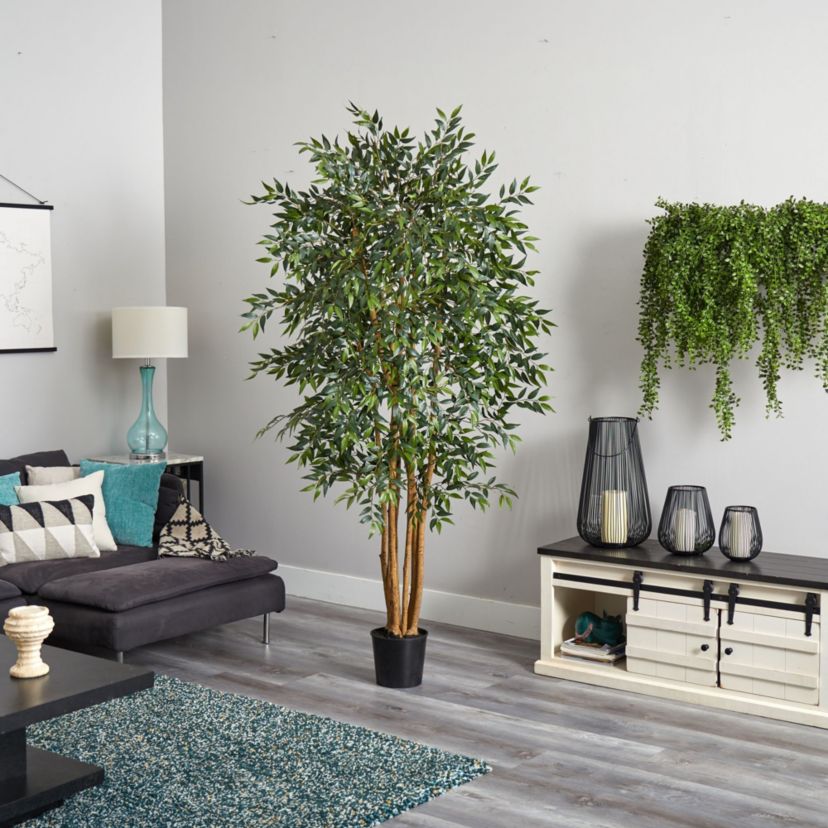 6 Smilax Silk Tree