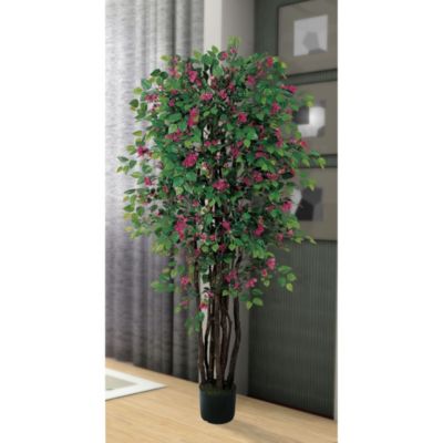 6' Bougainvillea Silk Tree