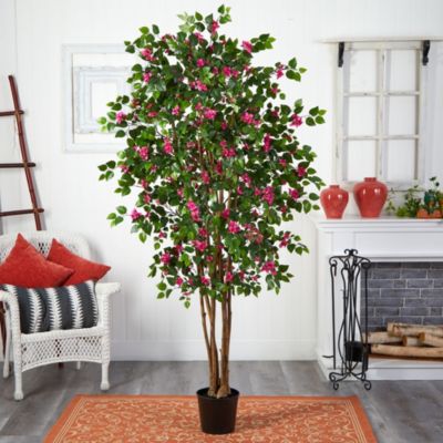 6' Bougainvillea Silk Tree