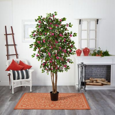 6' Bougainvillea Silk Tree