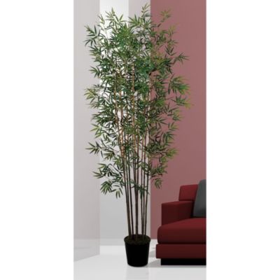 6' Mini Bamboo Silk Tree