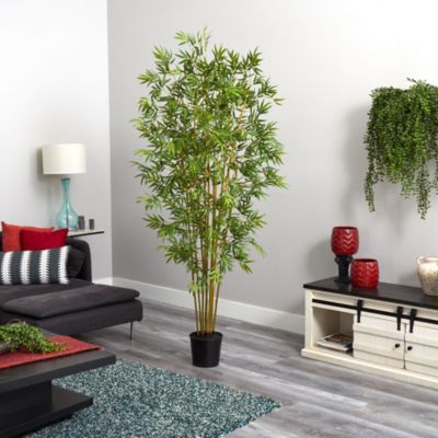 6' Mini Bamboo Silk Tree