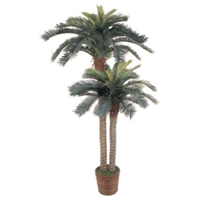 6-Foot and 4-Foot Sago Palm Double Potted Silk Tree