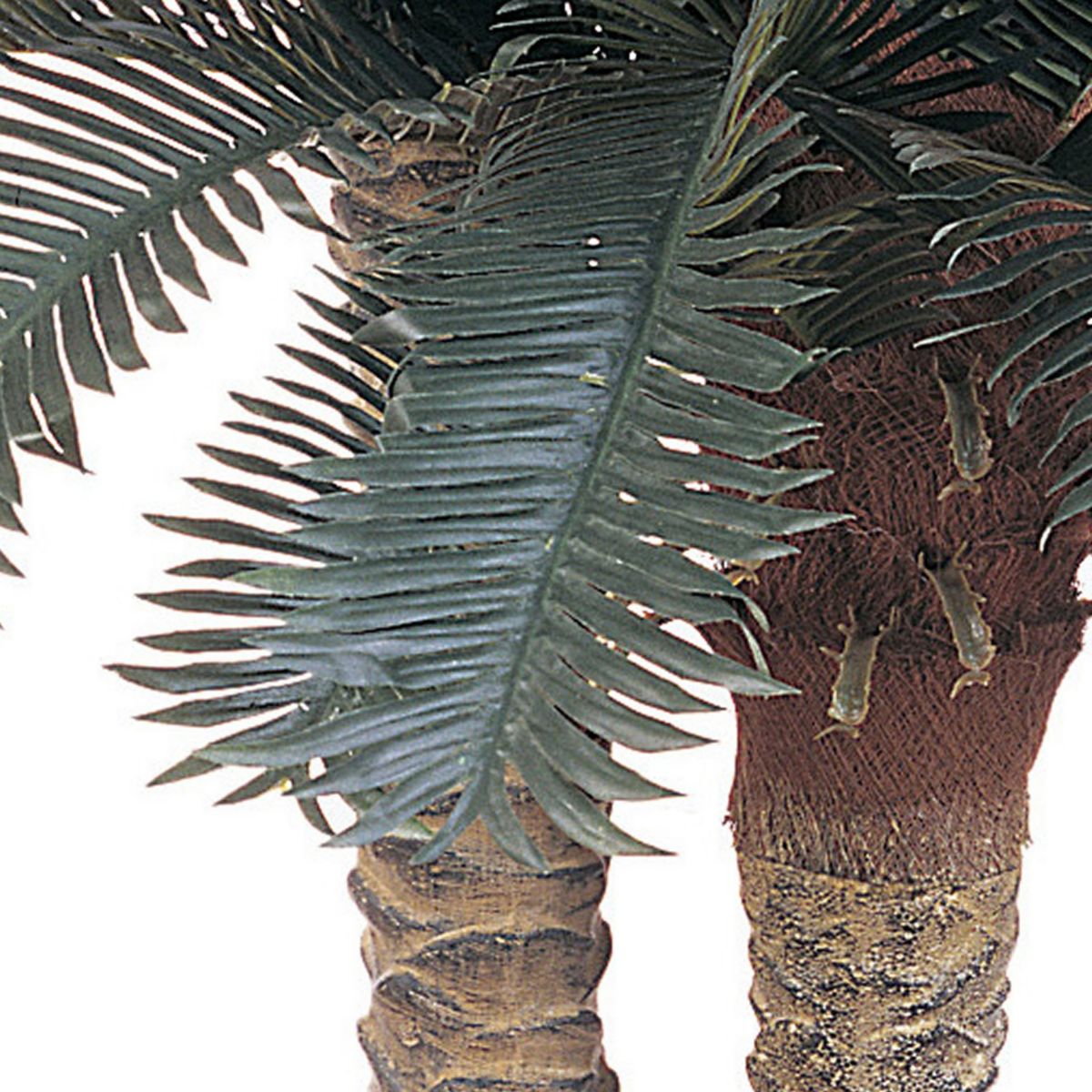 6-Foot and 4-Foot Sago Palm Double Potted Silk Tree