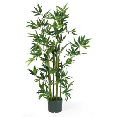 4' Bamboo Silk Plant