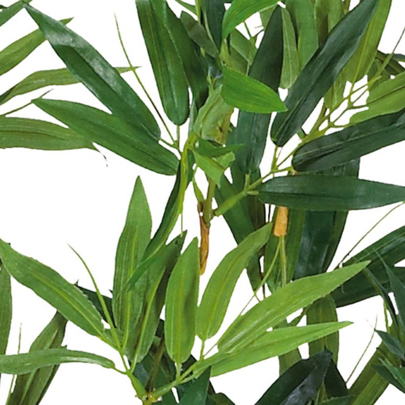 4 Bamboo Silk Plant