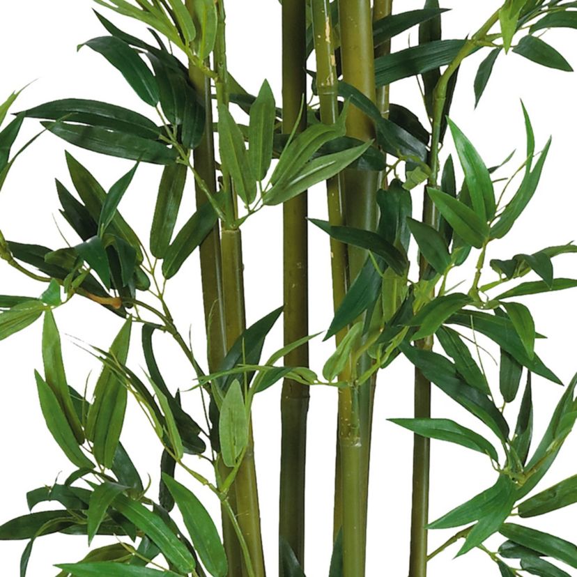 4 Bamboo Silk Plant