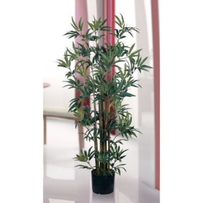 4' Bamboo Silk Plant