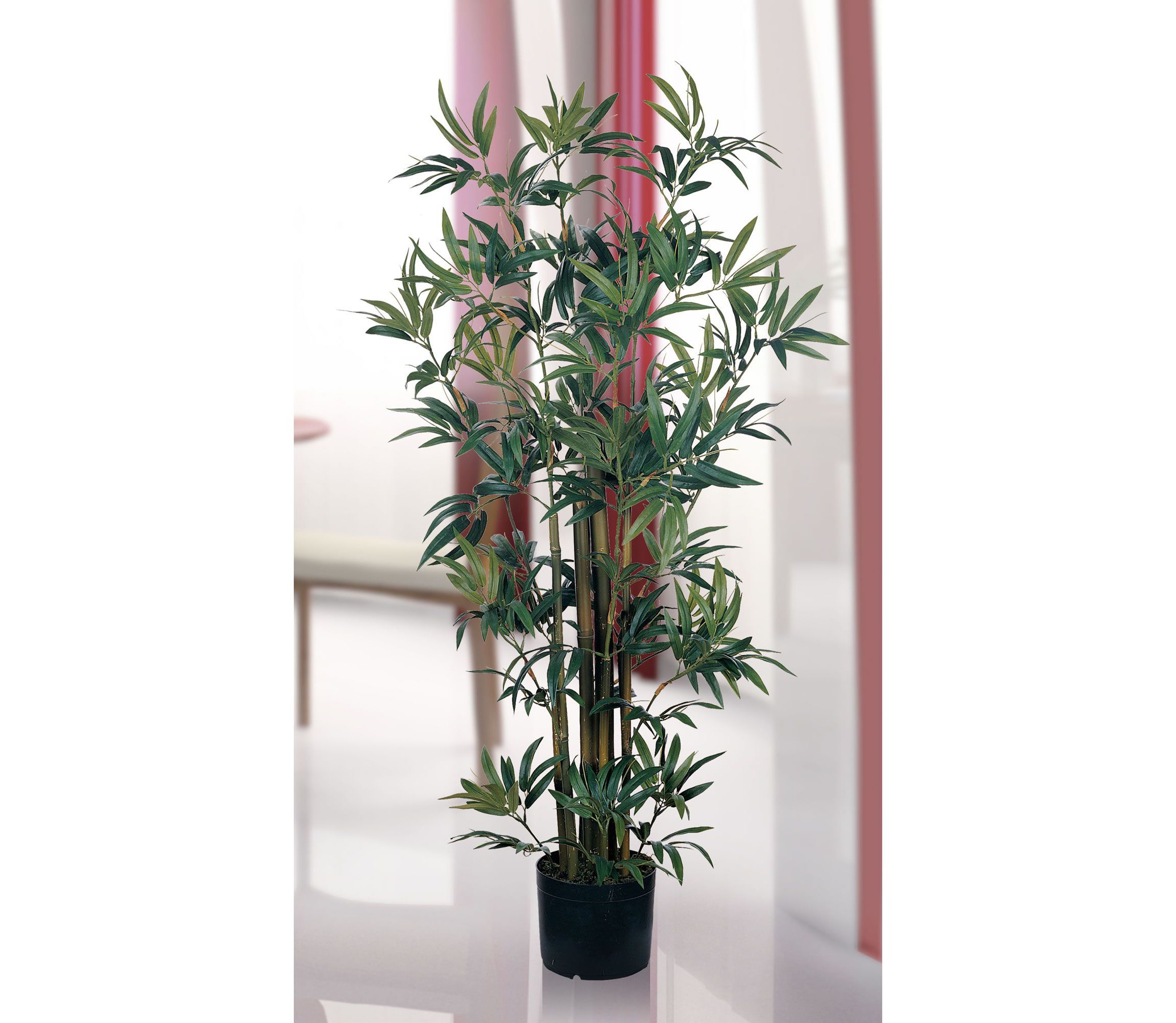 4 Bamboo Silk Plant