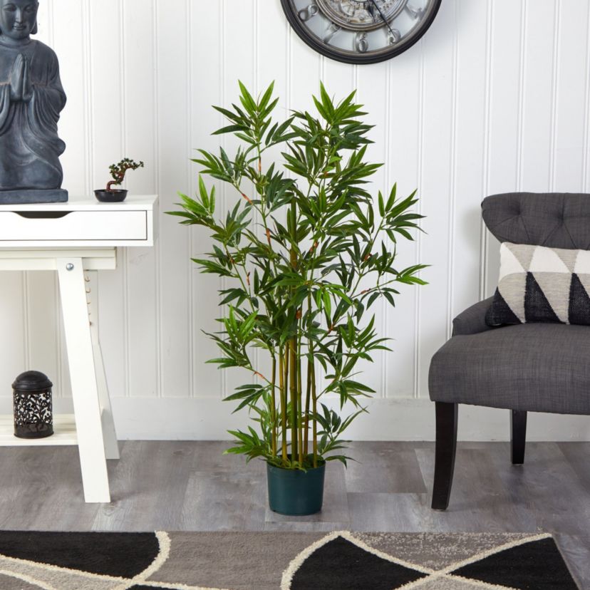 4 Bamboo Silk Plant