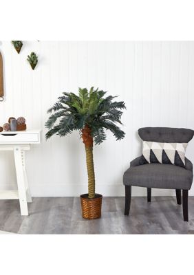 4-Foot Sago Silk Palm Tree