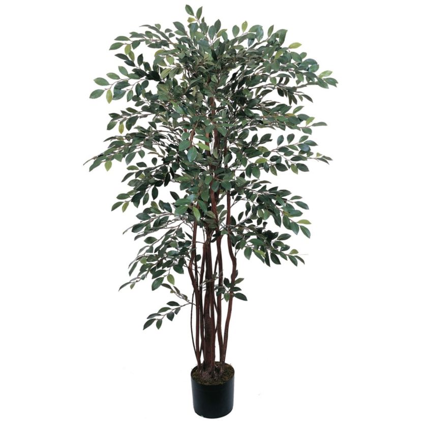 4 Ruscus Silk Tree