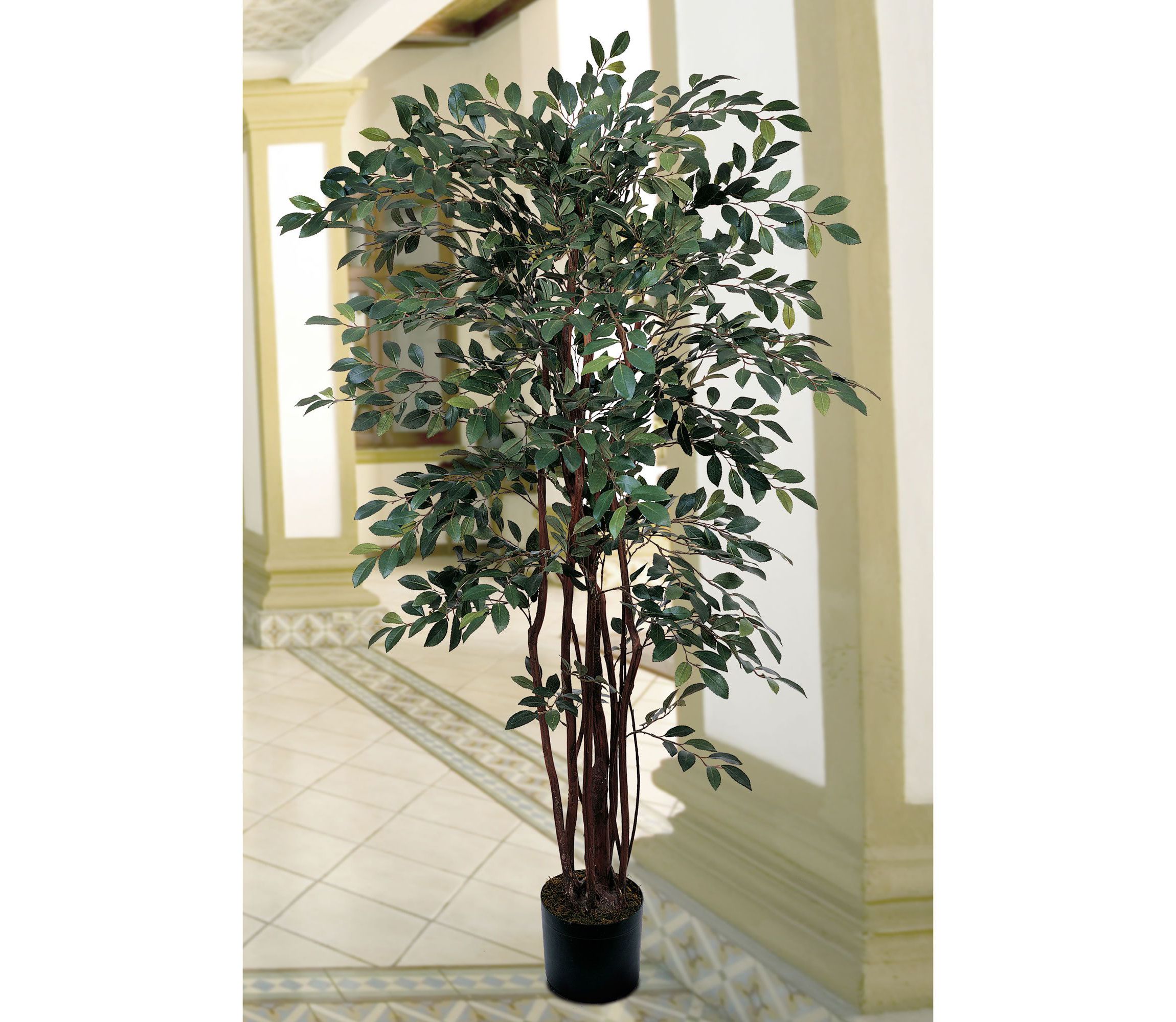 4 Ruscus Silk Tree